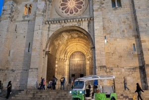 Tour esencial por el casco antiguo de Lisboa en 2 horas: tour privado en tuk-tuk