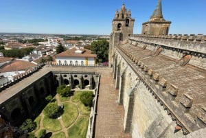 From Lisbon: Évora, Chapel of Bones, & Roman Temple Tour