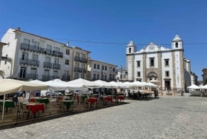 From Lisbon: Évora, Chapel of Bones, & Roman Temple Tour