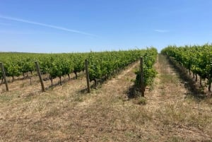 From Lisbon: Évora, Chapel of Bones, & Roman Temple Tour