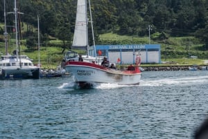 Exclusieve BIGWAVE-ervaring met de lokale António Cardoso