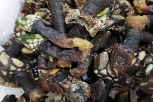 Visite guidée du marché alimentaire avec chef et cours de cuisine