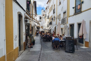 From Lisboa: Evora and Monsaraz Full-Day Tour