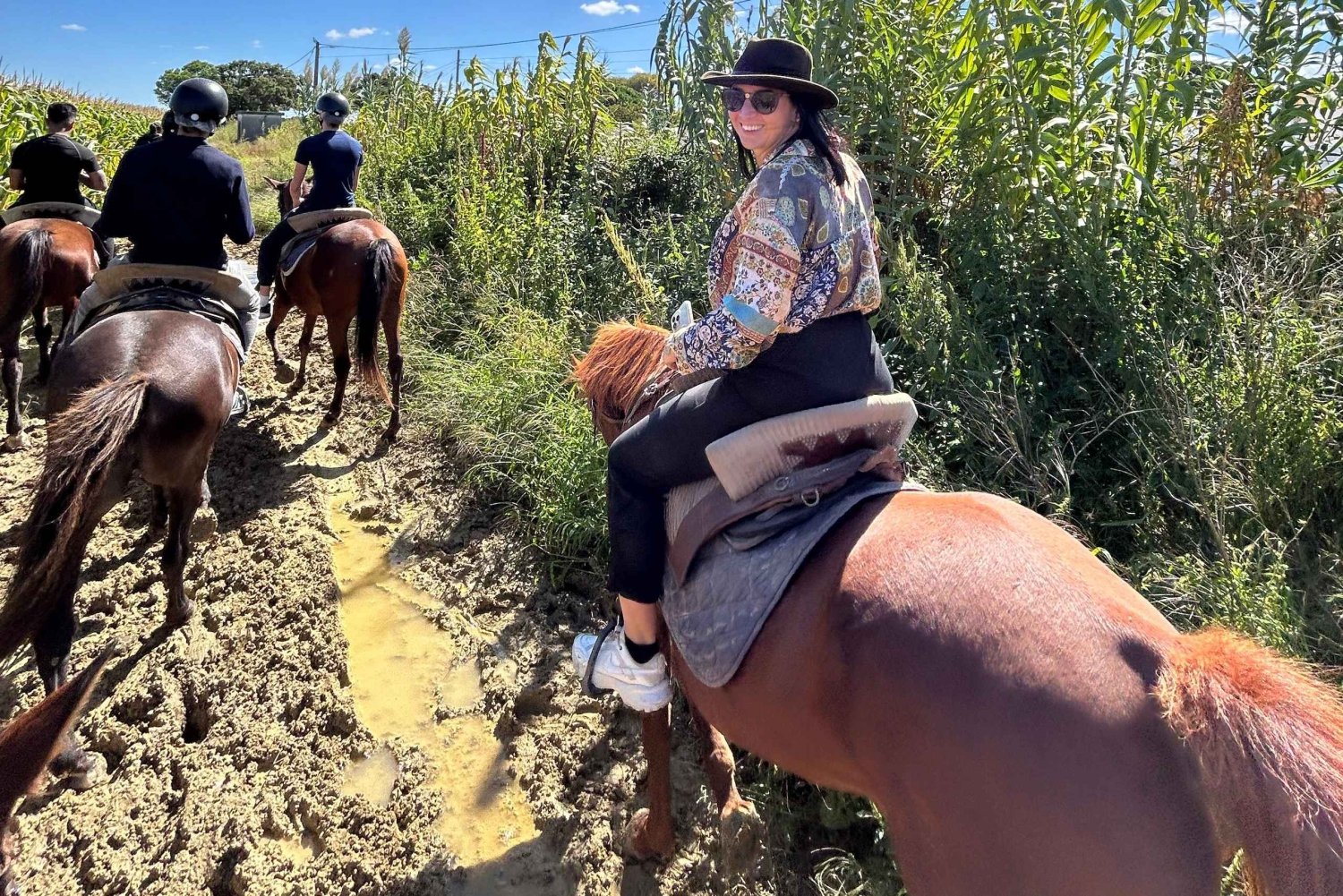 From Lisbon: Amazing Guided Horseback Ride