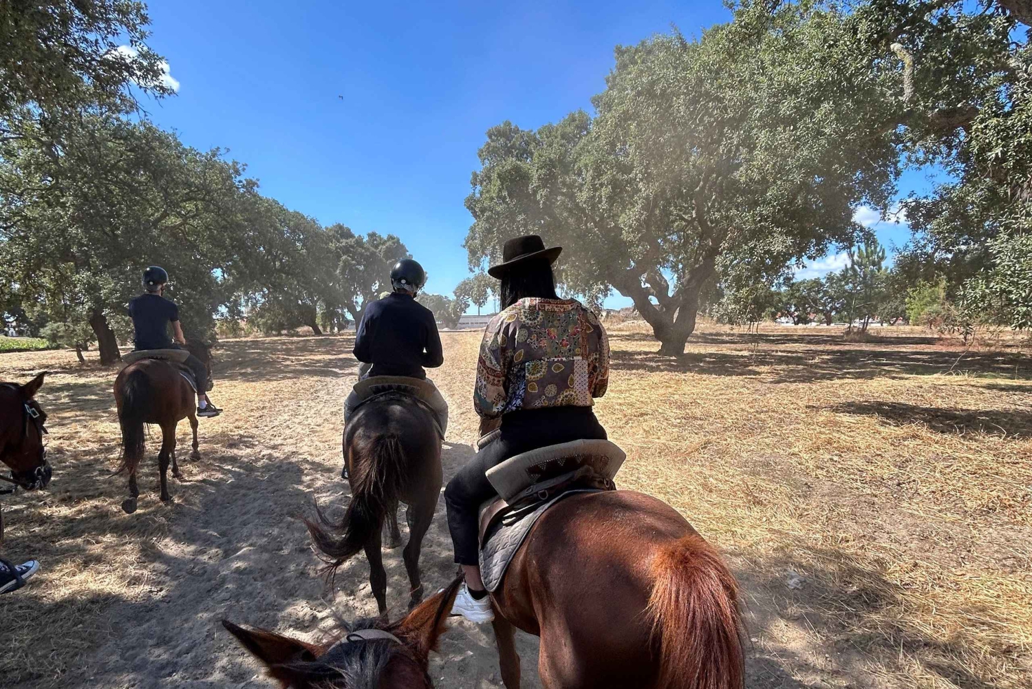 From Lisbon: Amazing Guided Horseback Ride