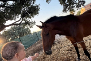 From Lisbon: Amazing Guided Horseback Ride