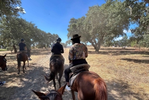 From Lisbon: Amazing Guided Horseback Ride