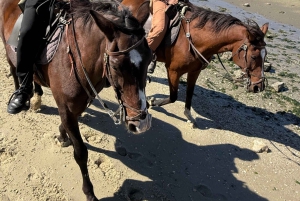 From Lisbon: Amazing Guided Horseback Ride