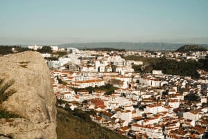 Fra Lissabon: Arrábida og Sesimbra – vin, natur og strandtur