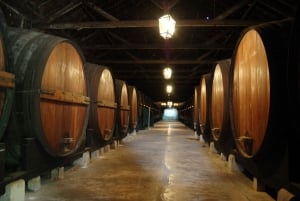 Arrábida: Private Wine Tour with Wine & Cheese Tasting