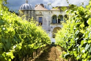 From Lisbon: Azeitão Wine Cellar and Food-Tasting Tour