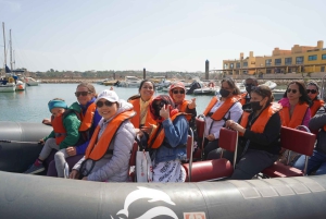 From Lisbon: Benagil Caves and Algarve Private tour