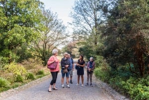 From Lisbon: Best of Sintra and Cascais Guided Day Tour