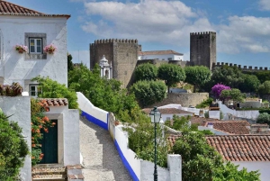 Z Lizbony: Big Waves Nazaré, Óbidos i Batalha