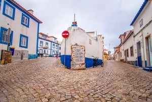 Coastal Villages and Mafra Palace Guided Tour