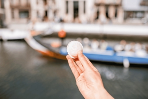 Lissabonista: COIMBRA ja AVEIRO