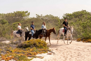 Vanuit Lissabon: Comporta en Setúbal Trip met Paardrijden