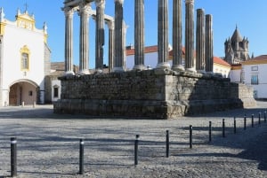 Fra Lissabon: Évora og Alentejo vintur med smagsprøver