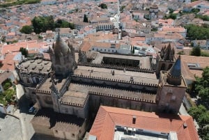 Fra Lissabon: Évora og Alentejo vintur med smagsprøver