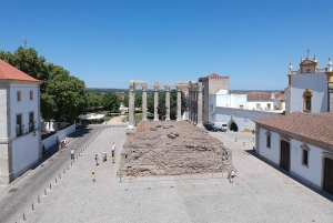 Fra Lissabon: Évora og Alentejo vintur med smagsprøver
