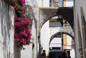 Fra Lissabon: Évora og Alentejo vintur med smagsprøver