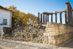 Från Lissabon: Évora och Monsaraz med regional vinprovning