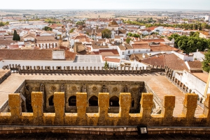 Från Lissabon: Évora och Monsaraz med regional vinprovning