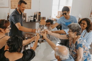 Från Lissabon: Évora och Monsaraz med regional vinprovning