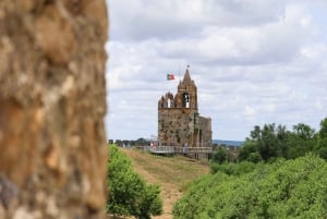 From Lisbon: Évora, Chapel of Bones & Alentejo Wine Tour