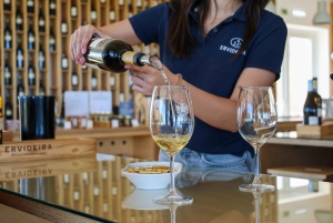 A partir de Lisboa: Évora, Capela dos Ossos e Tour dos Vinhos do Alentejo