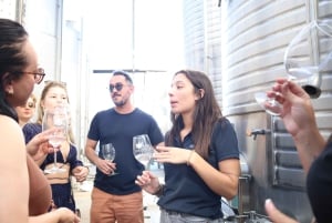 A partir de Lisboa: Évora, Capela dos Ossos e Tour dos Vinhos do Alentejo