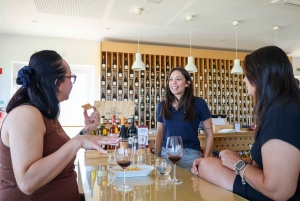 A partir de Lisboa: Évora, Capela dos Ossos e Tour dos Vinhos do Alentejo