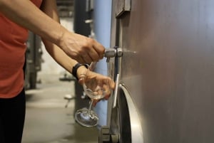 A partir de Lisboa: Évora, Capela dos Ossos e Tour dos Vinhos do Alentejo