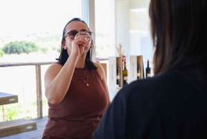 A partir de Lisboa: Évora, Capela dos Ossos e Tour dos Vinhos do Alentejo