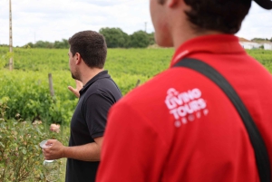 A partir de Lisboa: Évora, Capela dos Ossos e Tour dos Vinhos do Alentejo