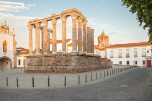 From Lisbon: Évora, Chapel of Bones & Cork Experience Tour