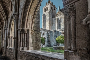 From Lisbon: Évora, Chapel of Bones & Cork Experience Tour