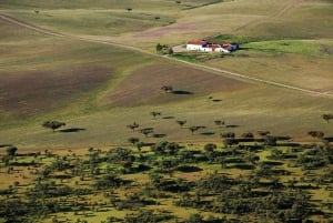 Lissabonista: Évora Wine & Heritage Tour
