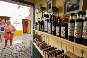 Fra Lissabon: Fátima, Batalha, Nazaré & Óbidos heldagstur
