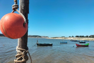 Óbidos (middelalderby): Privat halvdagstur fra Lisboa