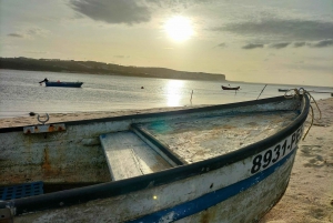 Óbidos (middelalderby): Privat halvdagstur fra Lisboa