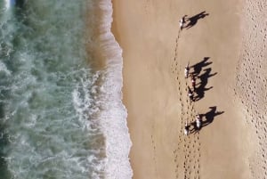 From Lisbon: Horseback Riding on Comporta Beach