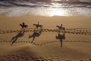 From Lisbon: Horseback Riding on Comporta Beach