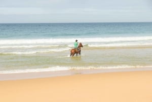 From Lisbon: Horseback Riding on Comporta Beach