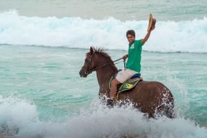 From Lisbon: Horseback Riding on Comporta Beach