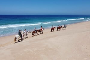 From Lisbon: Horseback Riding on Comporta Beach