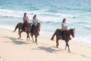 From Lisbon: Horseback Riding on Comporta Beach