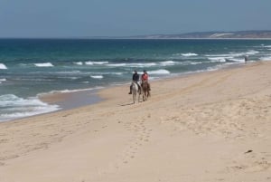 From Lisbon: Horseback Riding on Comporta Beach