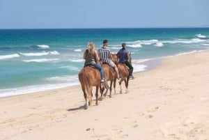 From Lisbon: Horseback Riding on Comporta Beach