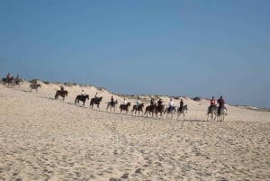 From Lisbon: Horseback Riding on Comporta Beach